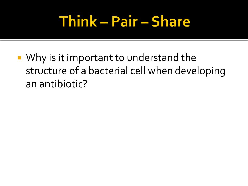 Think – Pair – Share Why is it important to understand the structure of a bacterial cell when developing an antibiotic