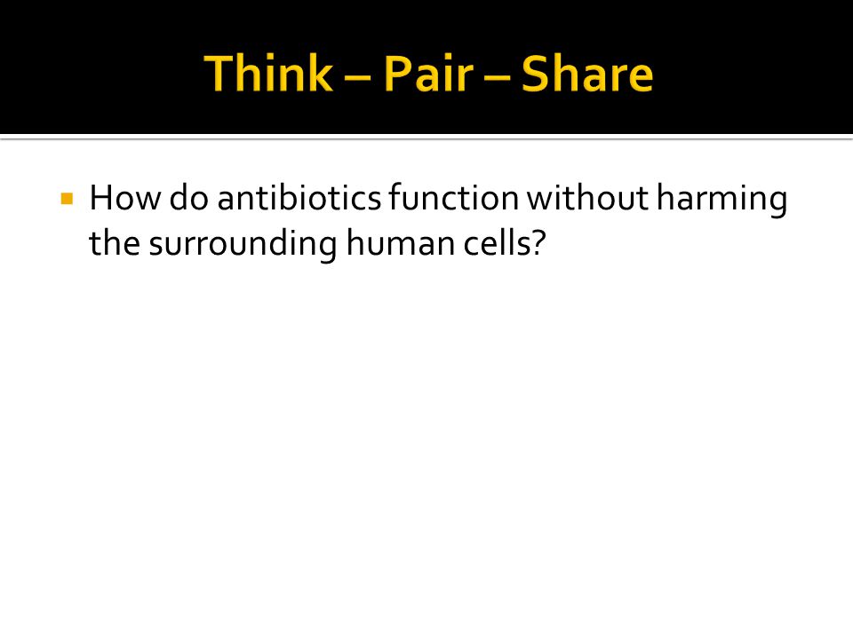 Think – Pair – Share How do antibiotics function without harming the surrounding human cells