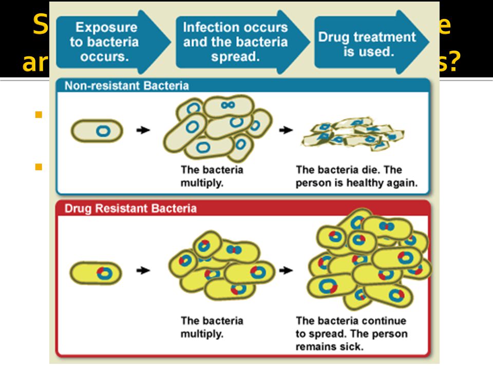 Should we take antibiotics if we are unsure what the pathogen is