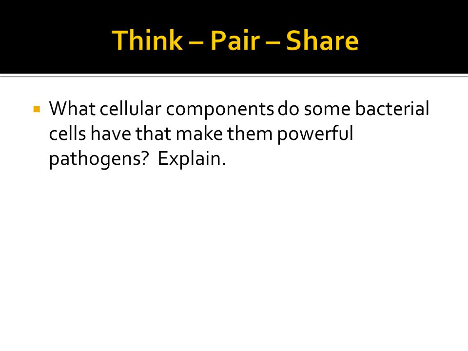Think – Pair – Share What cellular components do some bacterial cells have that make them powerful pathogens.