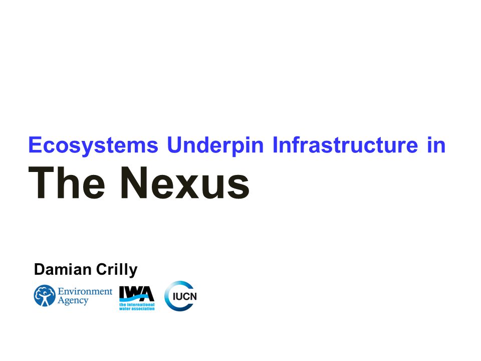 Ecosystems Underpin Infrastructure in