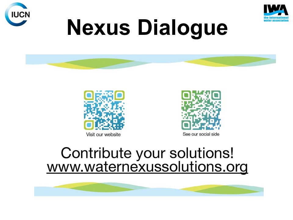 Nexus Dialogue