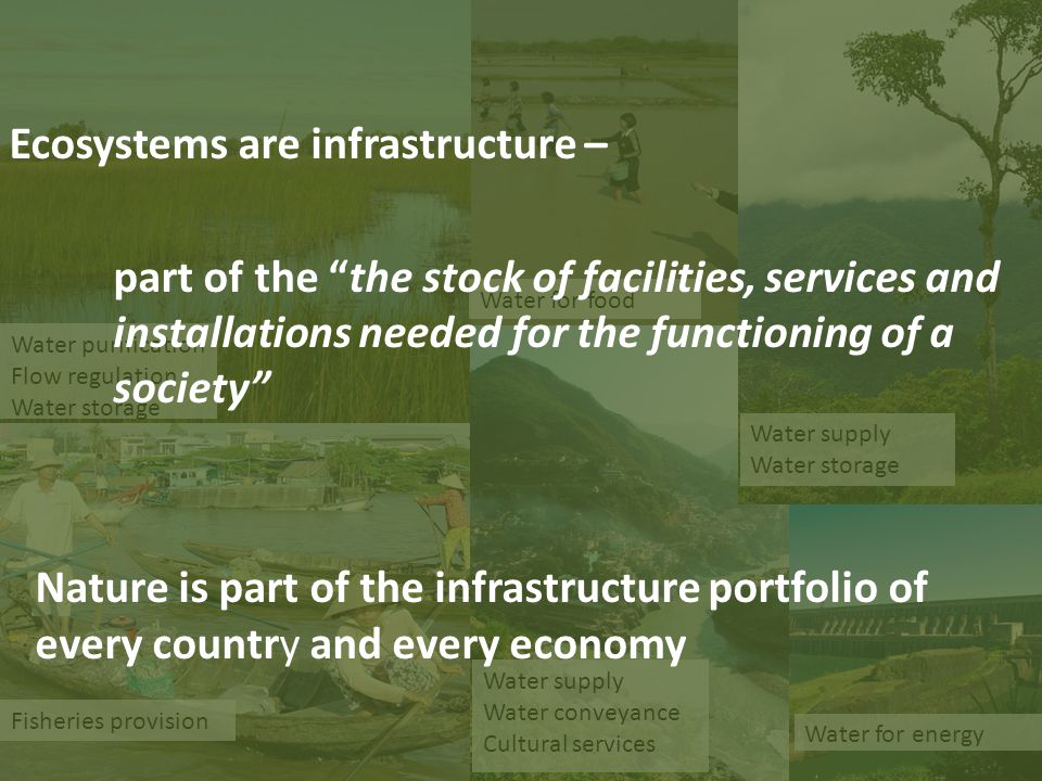 Ecosystems are infrastructure –