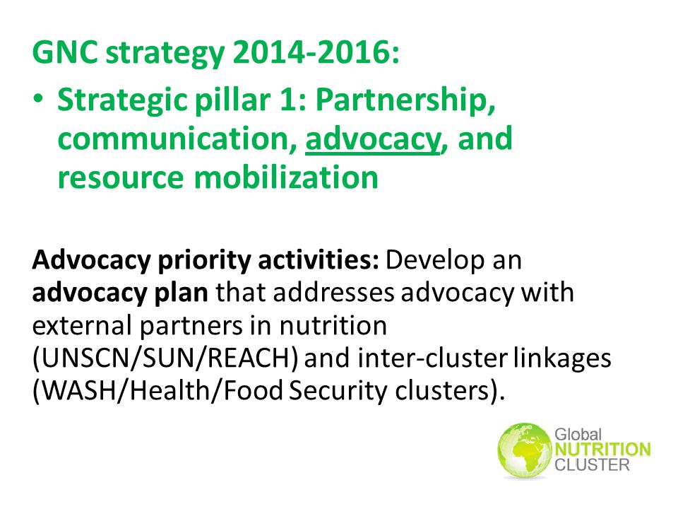 GNC strategy : Strategic pillar 1: Partnership, communication, advocacy, and resource mobilization.