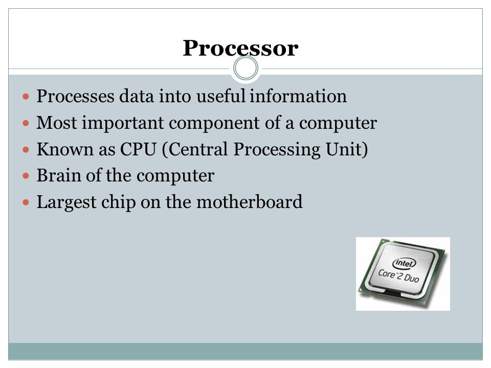 Processor Processes data into useful information
