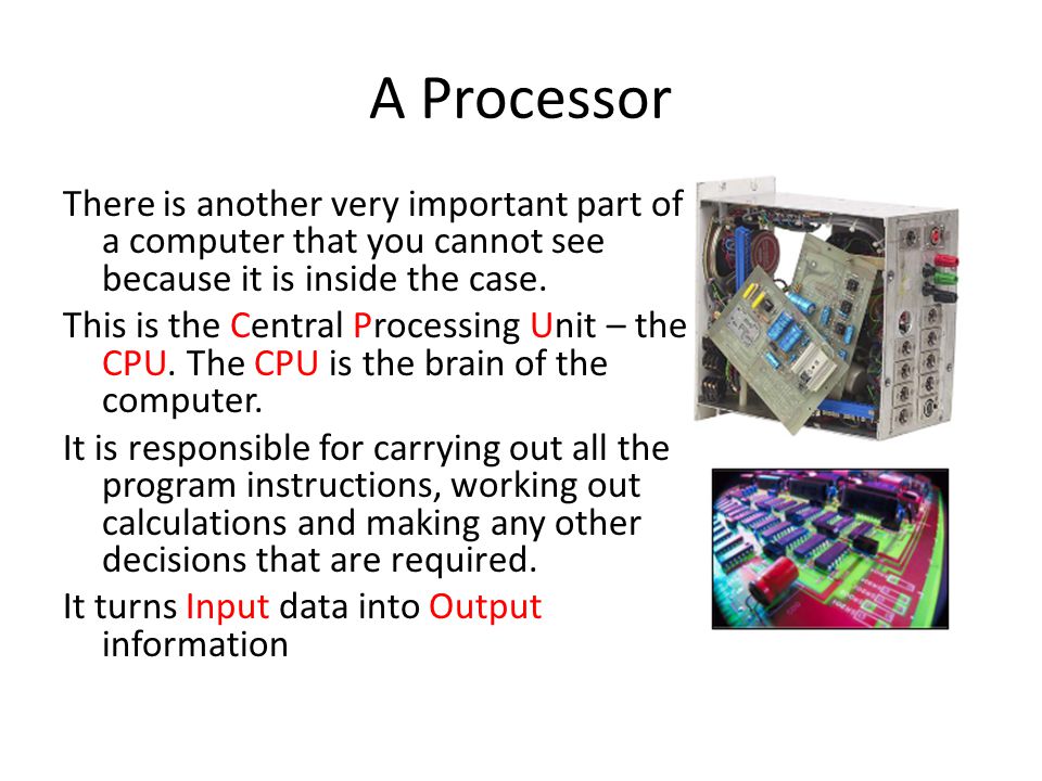 A Processor