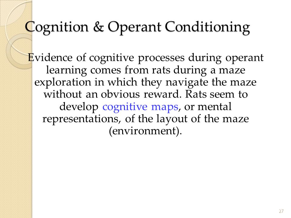Cognition & Operant Conditioning