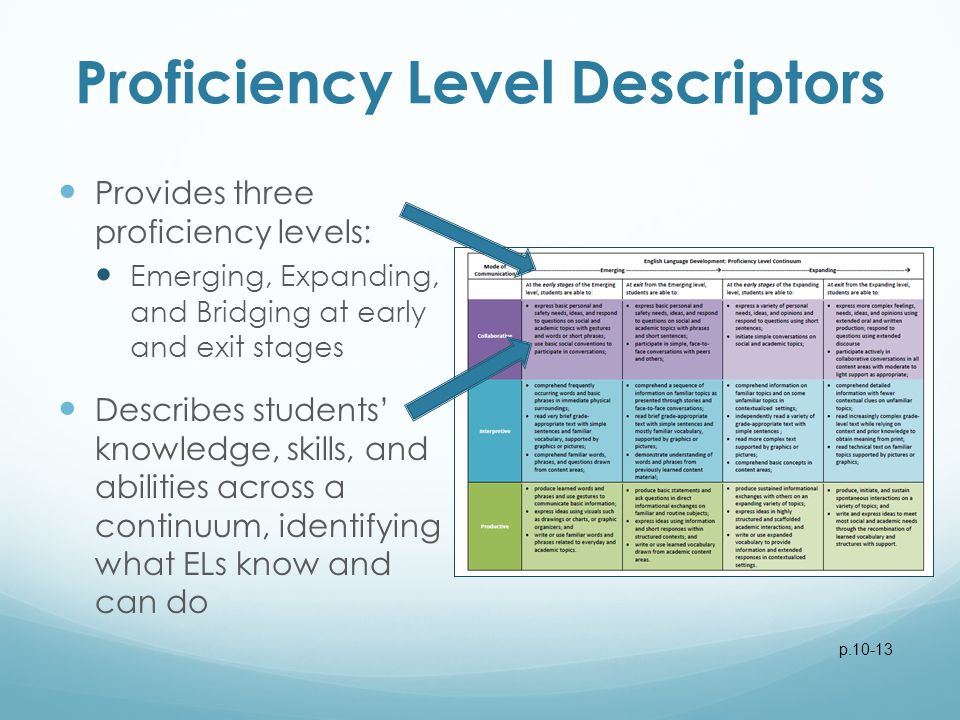 Proficiency Level Descriptors