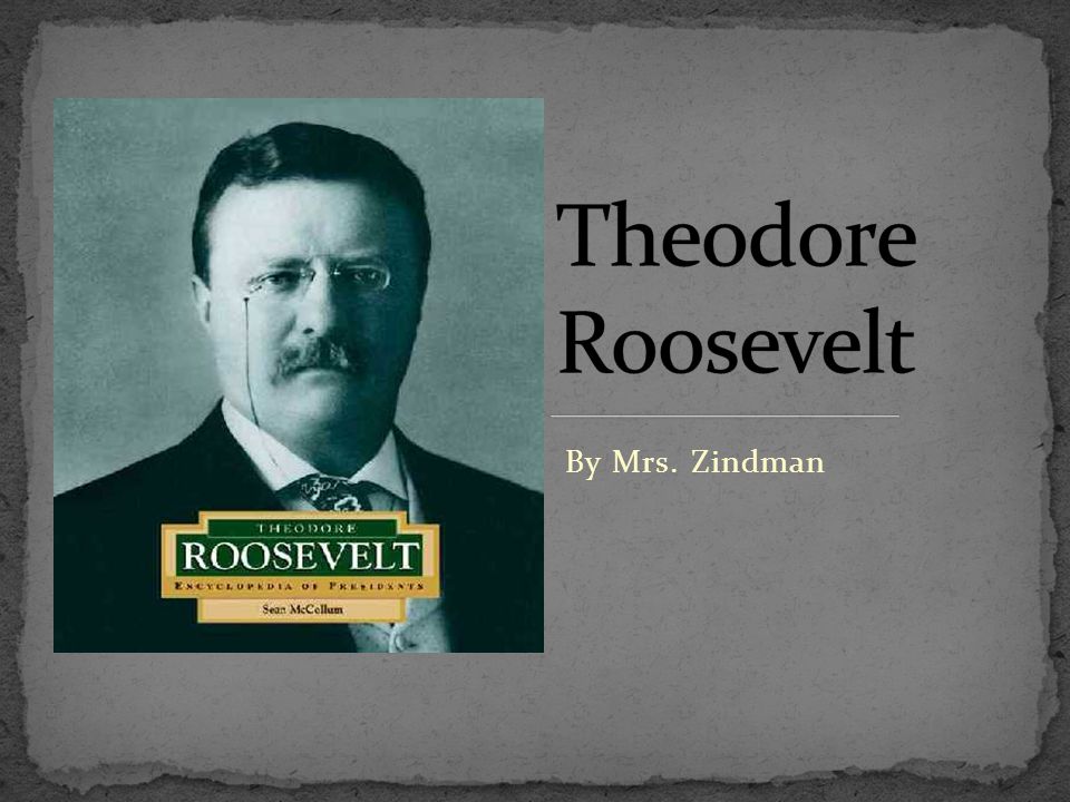 Theodore Roosevelt By Mrs. Zindman