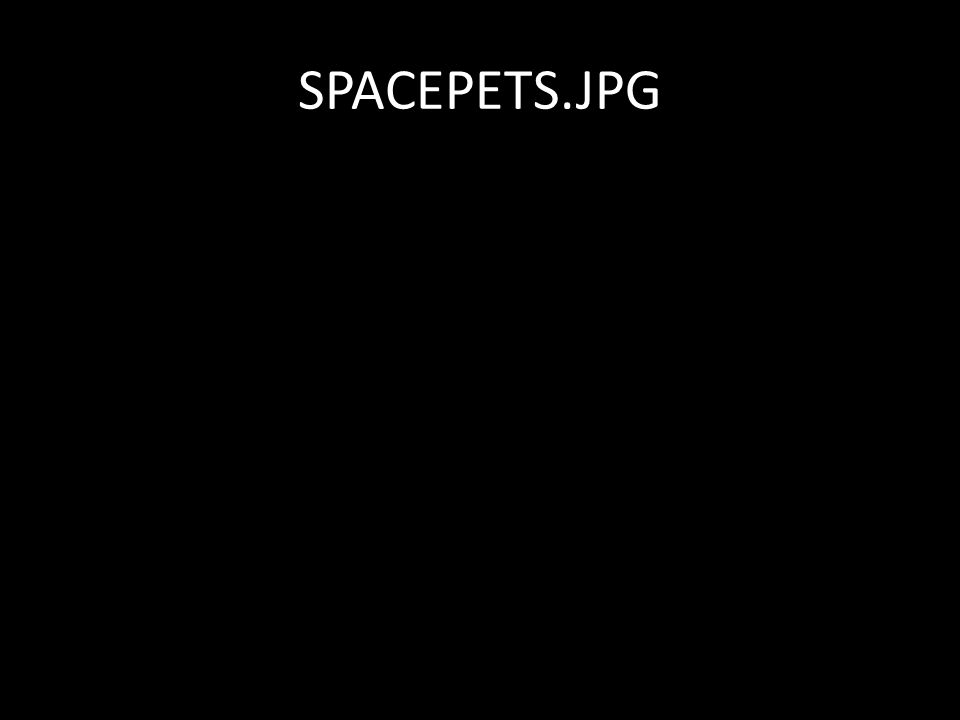 SPACEPETS.JPG