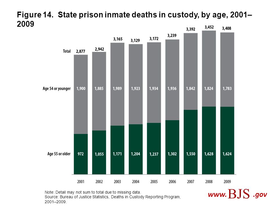 Figure 14. State prison inmate deaths in custody, by age, 2001–2009