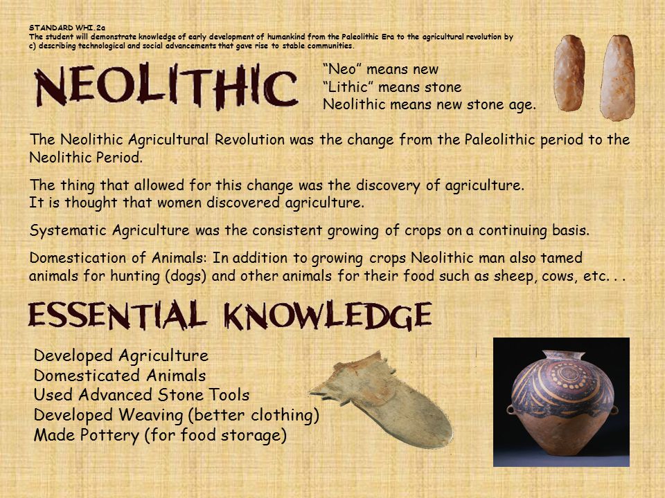 Developed Agriculture Domesticated Animals Used Advanced Stone Tools