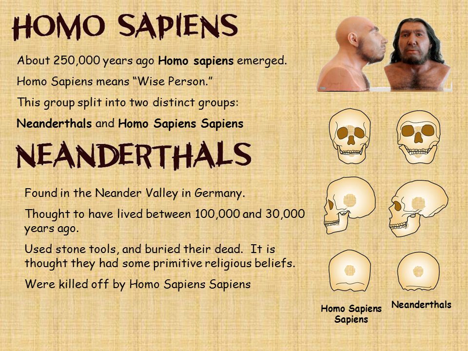 About 250,000 years ago Homo sapiens emerged.