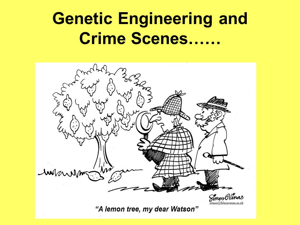 Genetic Engineering and Crime Scenes……