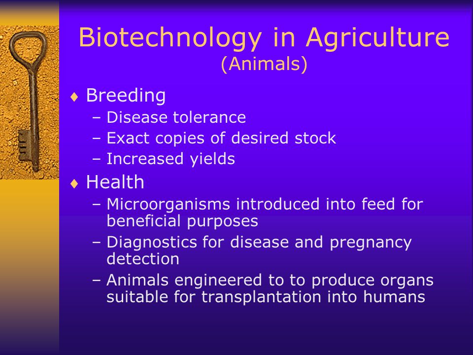 Biotechnology in Agriculture (Animals)