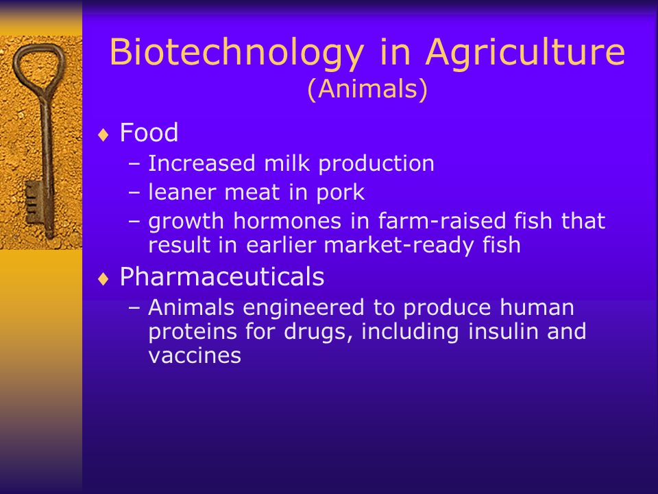 Biotechnology in Agriculture (Animals)