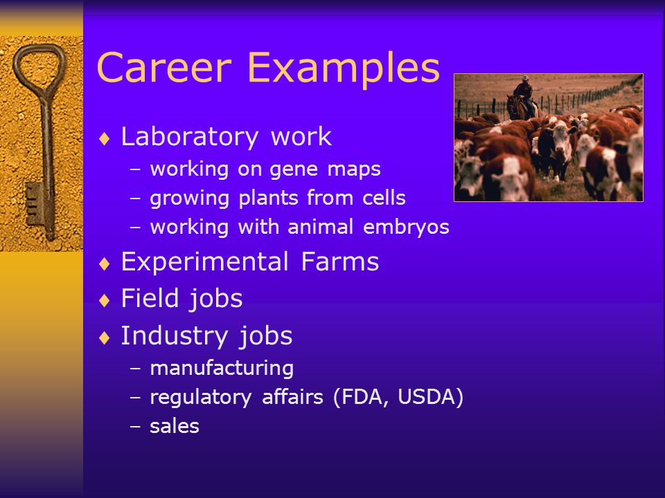 Career Examples Laboratory work Experimental Farms Field jobs
