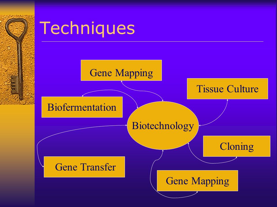 Techniques Gene Mapping Tissue Culture Biofermentation Biotechnology