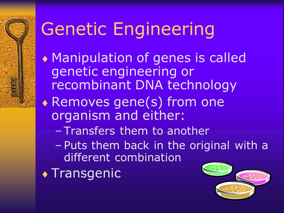 Genetic Engineering Manipulation of genes is called genetic engineering or recombinant DNA technology.