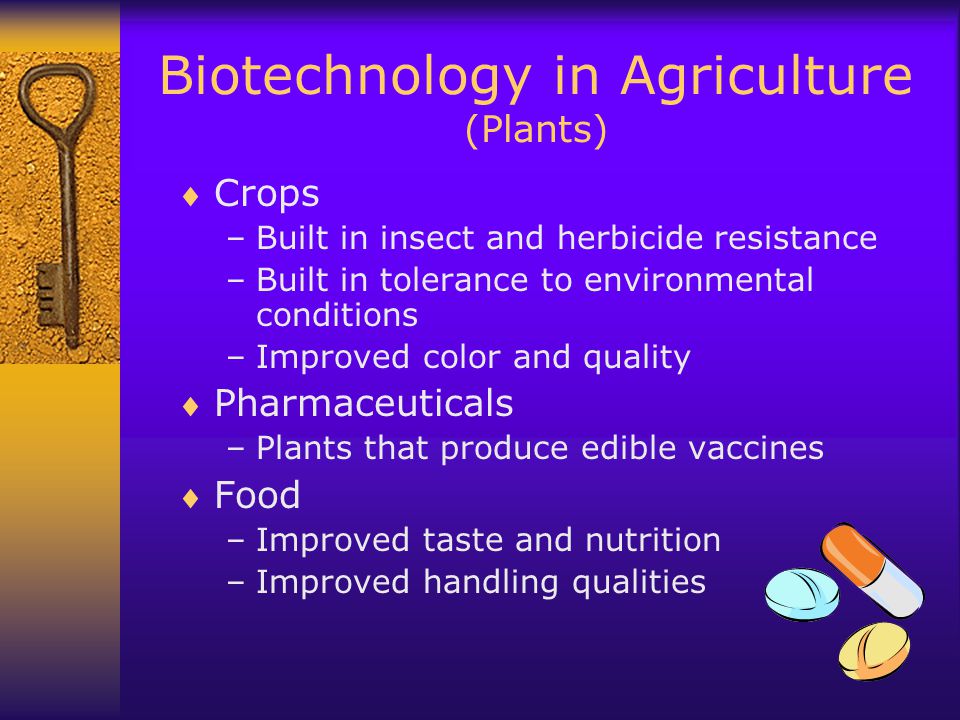 Biotechnology in Agriculture (Plants)