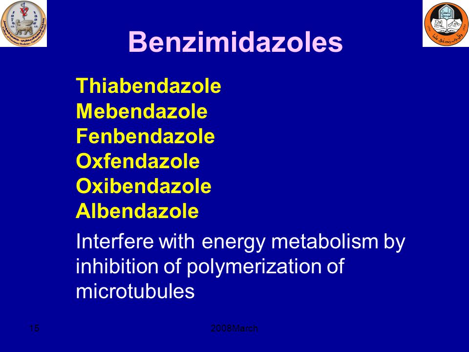 Benzimidazoles Thiabendazole Mebendazole Fenbendazole Oxfendazole Oxibendazole Albendazole.