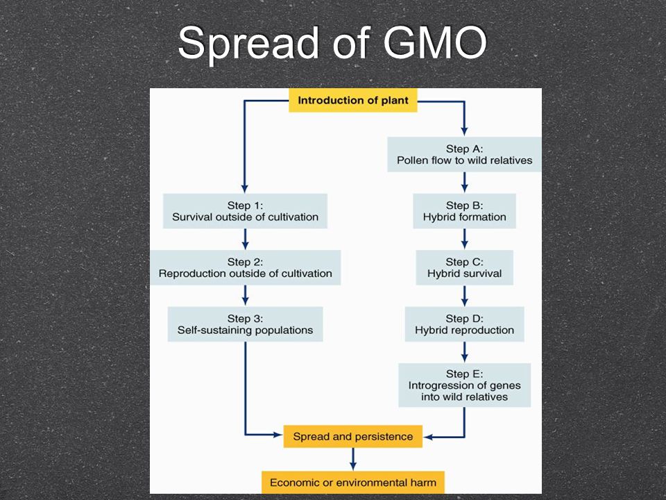 Spread of GMO