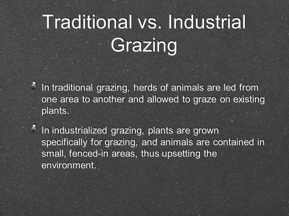 Traditional vs. Industrial Grazing