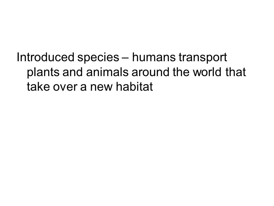 Introduced species – humans transport plants and animals around the world that take over a new habitat