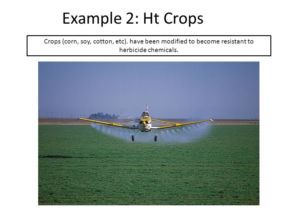 Example 2: Ht Crops Crops (corn, soy, cotton, etc).