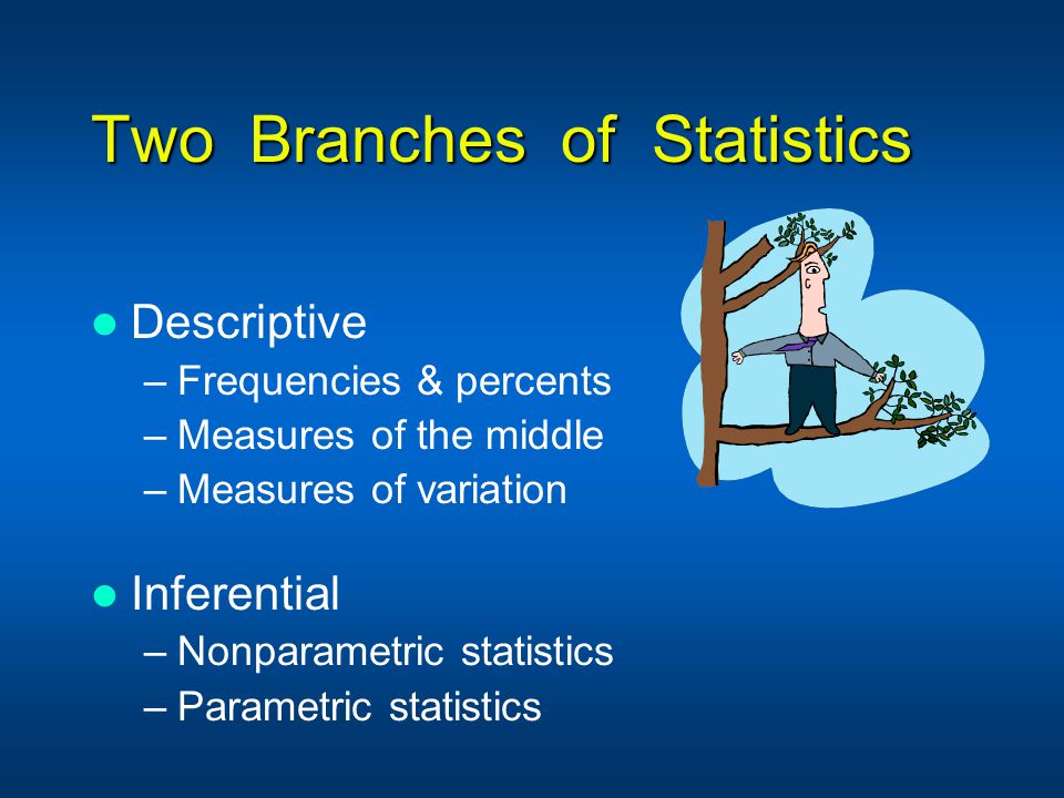 Two Branches of Statistics