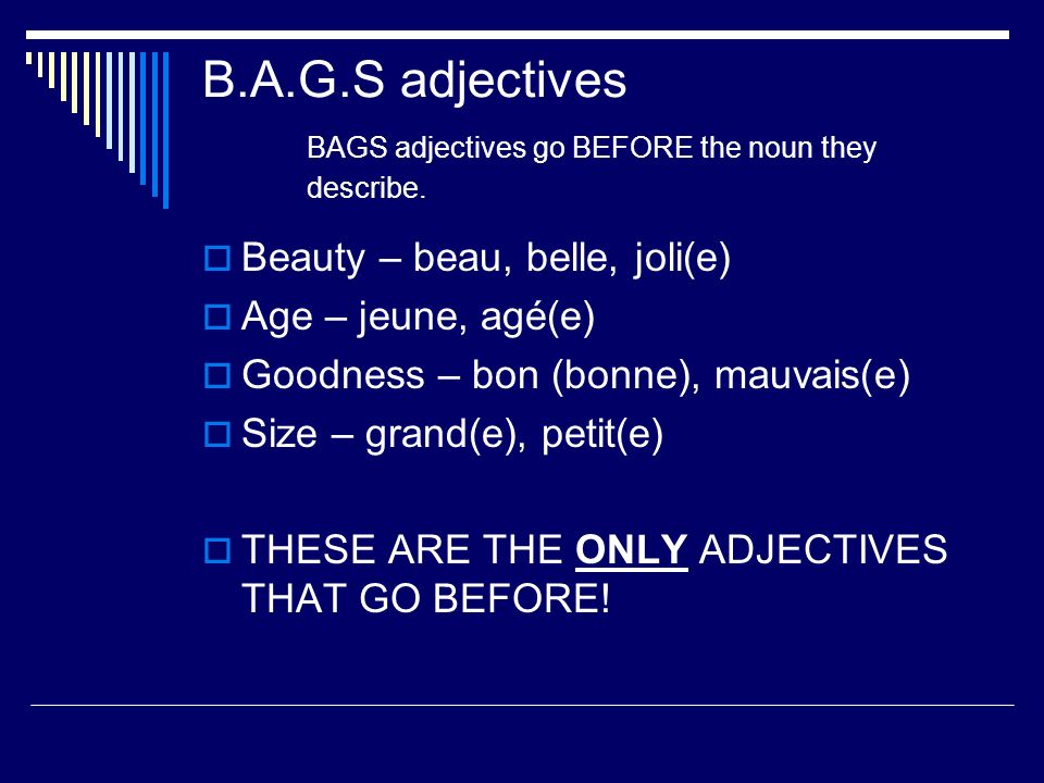 B.A.G.S adjectives BAGS adjectives go BEFORE the noun they describe.