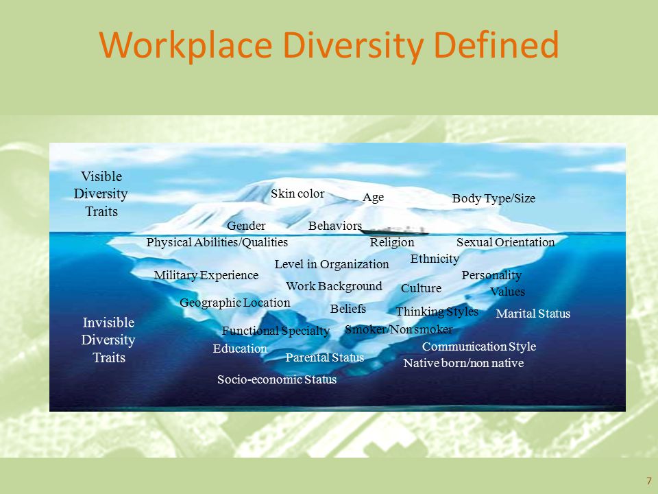 Workplace Diversity Defined