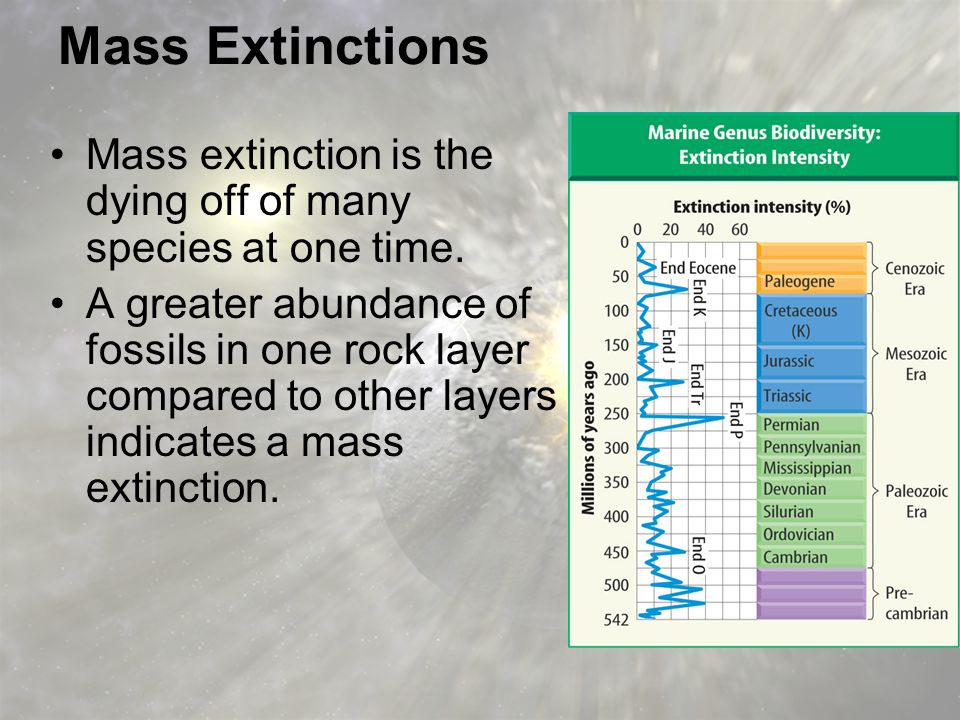 Mass Extinctions Mass extinction is the dying off of many species at one time.