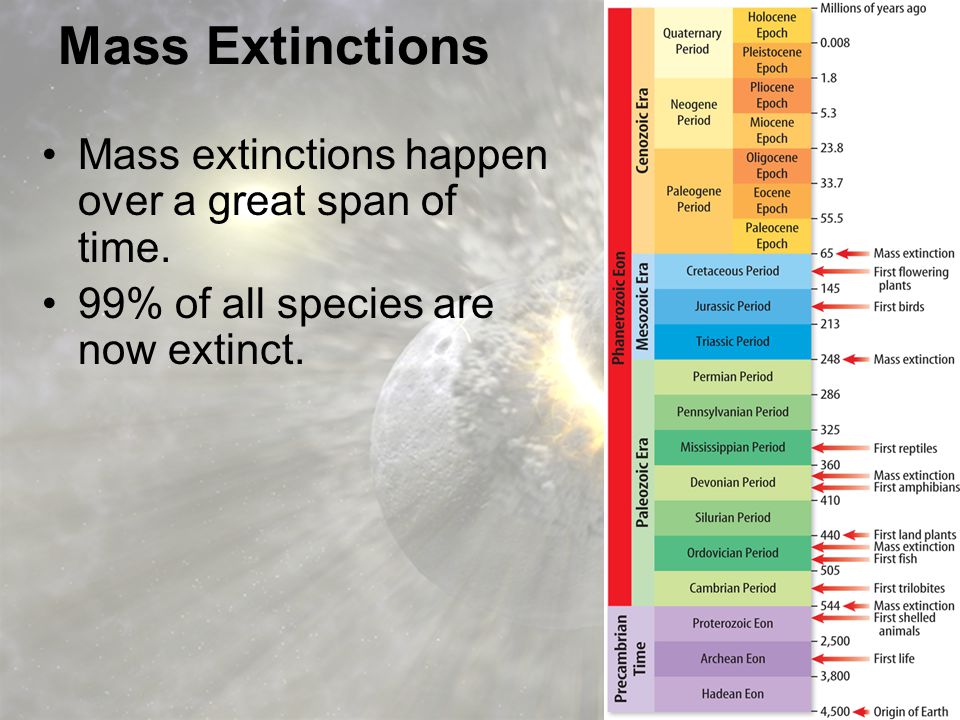 Mass Extinctions Mass extinctions happen over a great span of time.