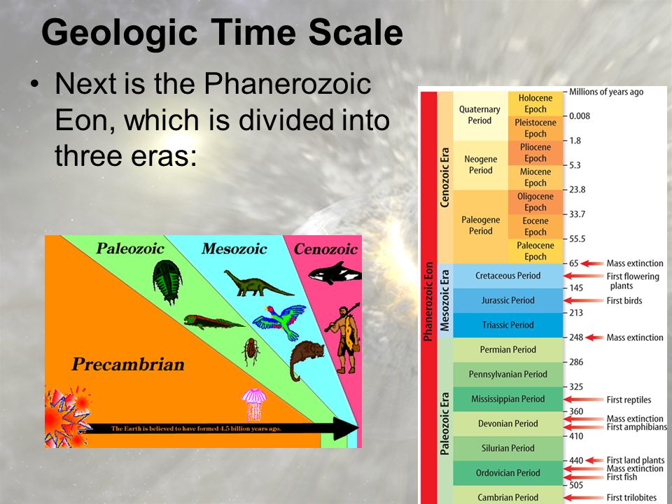Geologic Time Scale Next is the Phanerozoic Eon, which is divided into three eras: