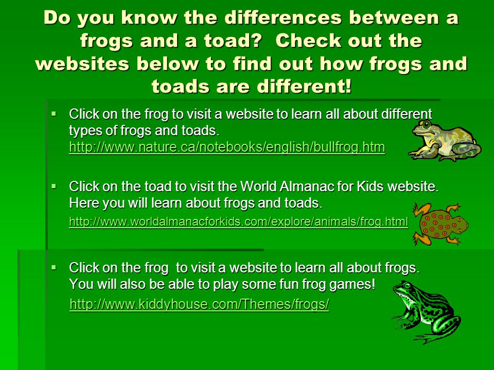 Do you know the differences between a frogs and a toad