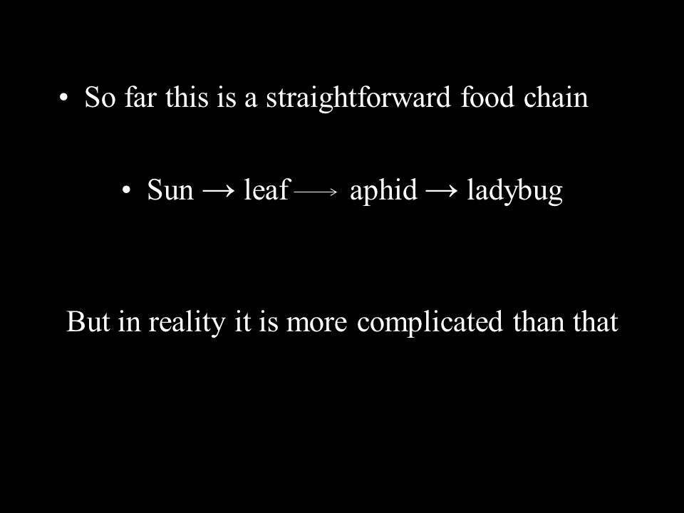 So far this is a straightforward food chain Sun → leaf aphid → ladybug