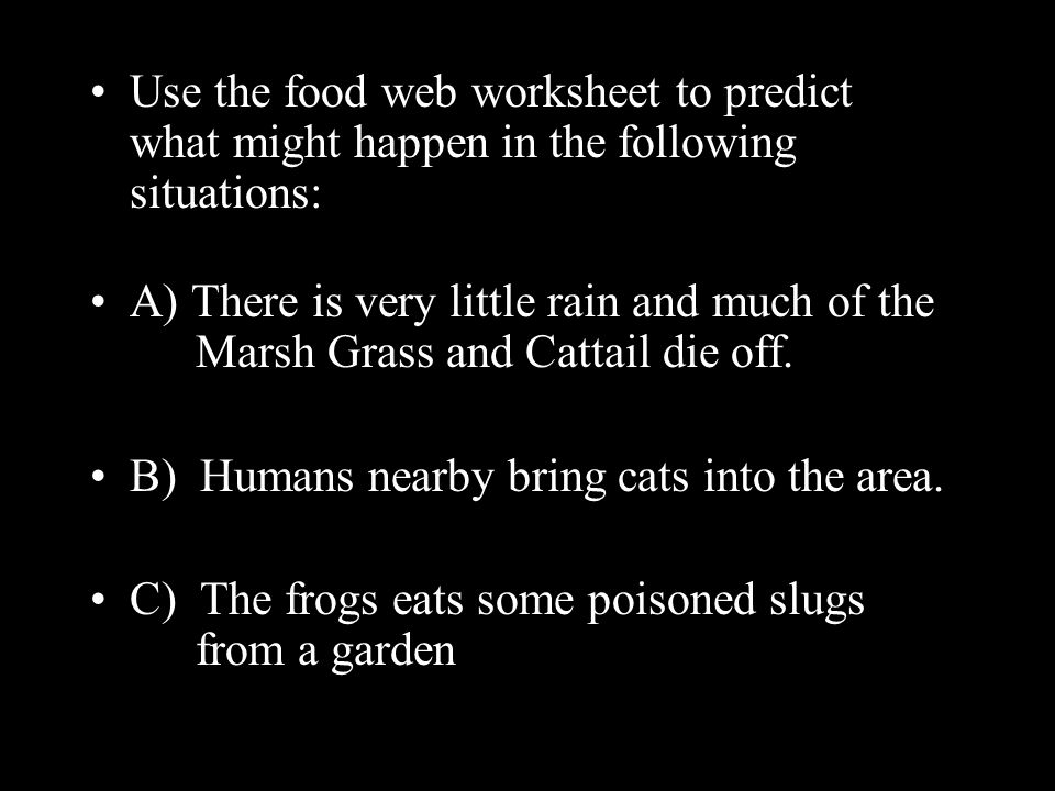 Use the food web worksheet to predict what might happen in the following situations: