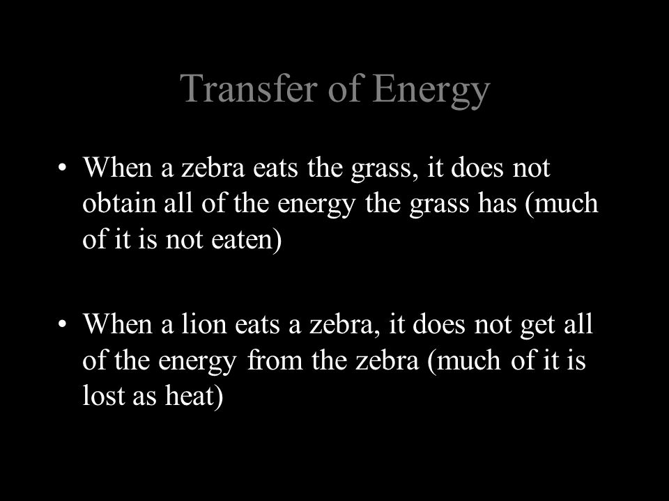Transfer of Energy When a zebra eats the grass, it does not obtain all of the energy the grass has (much of it is not eaten)