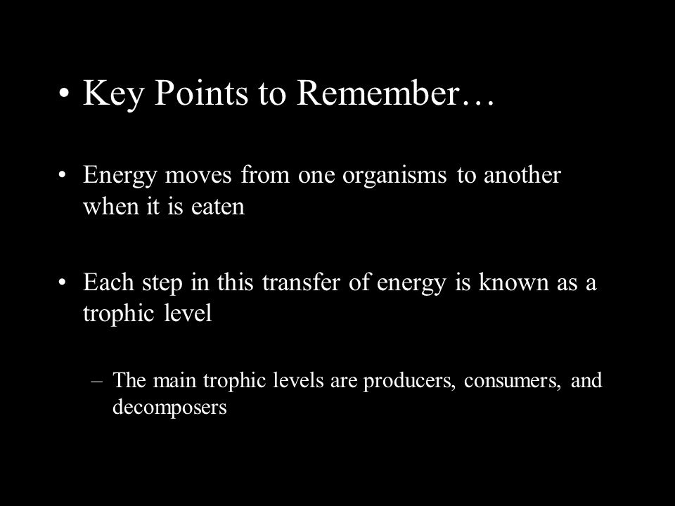 Key Points to Remember…