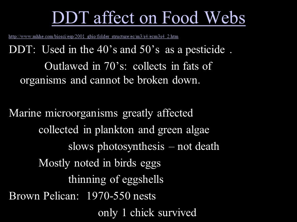 DDT affect on Food Webs