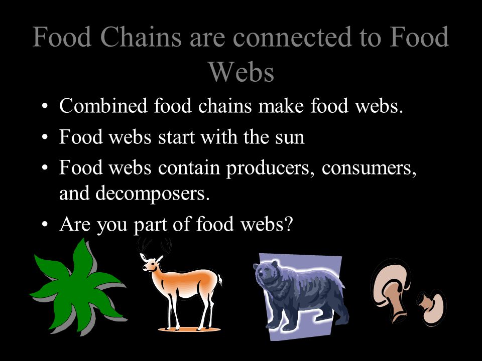 Food Chains are connected to Food Webs