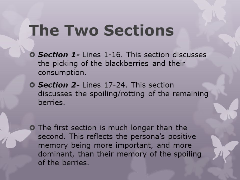 The Two Sections Section 1- Lines This section discusses the picking of the blackberries and their consumption.