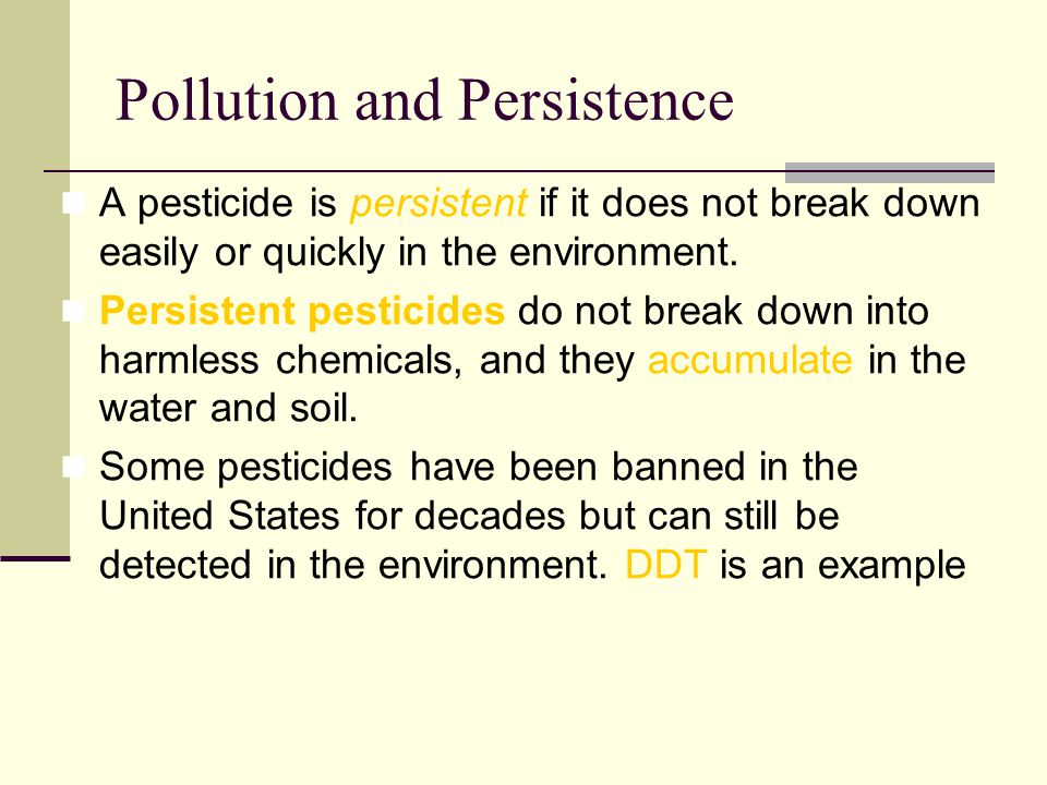 Pollution and Persistence