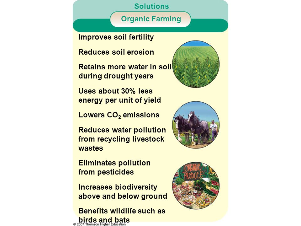 Solutions Organic Farming