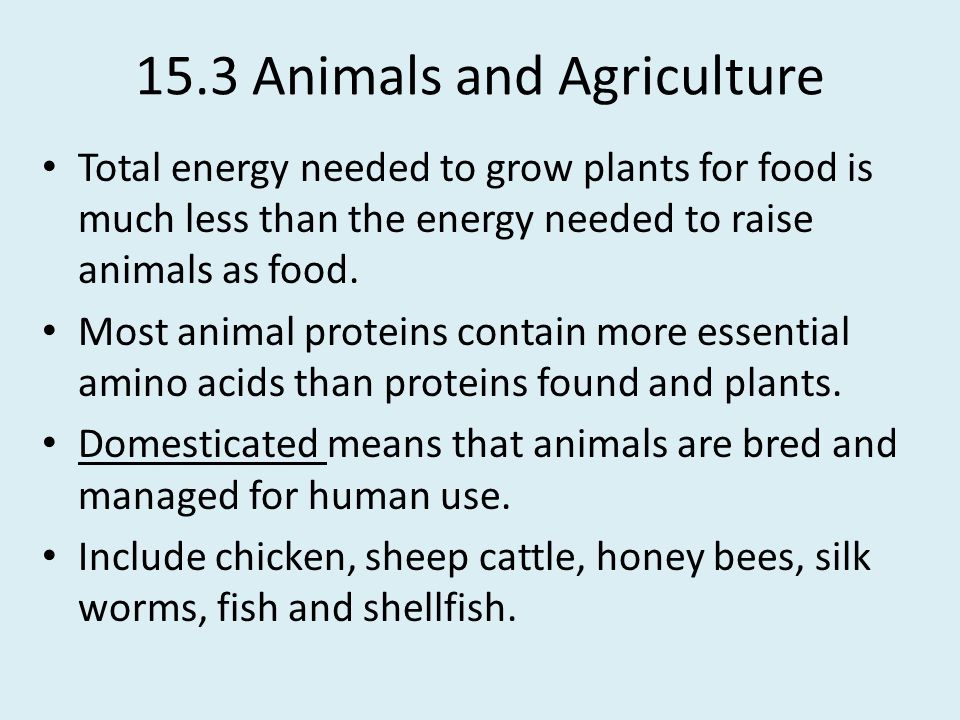15.3 Animals and Agriculture