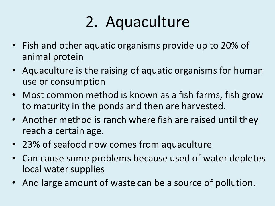2. Aquaculture Fish and other aquatic organisms provide up to 20% of animal protein.