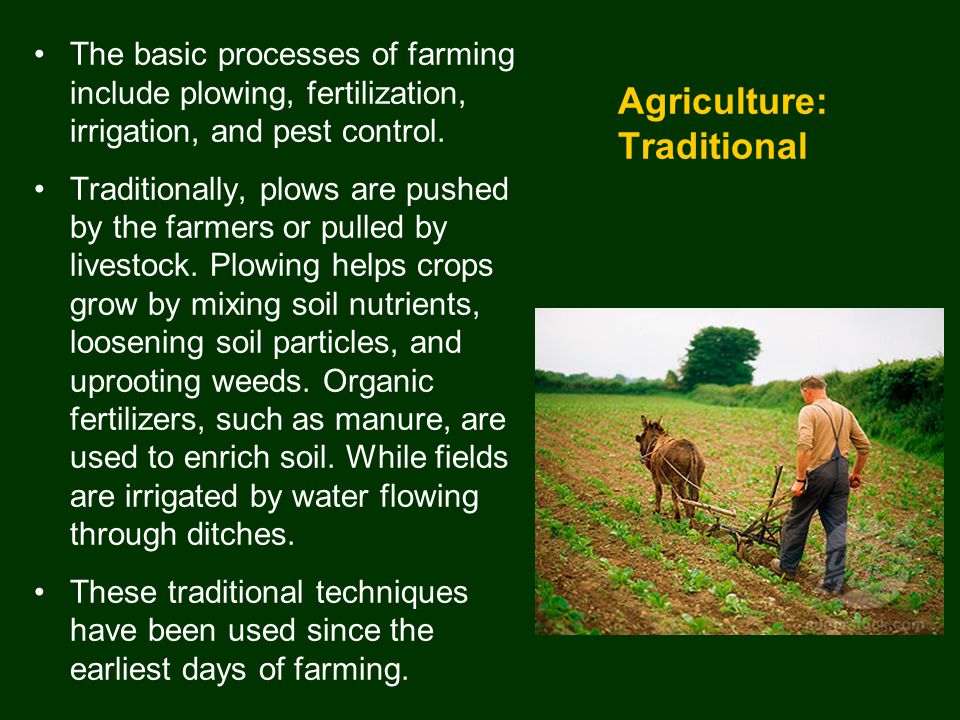 Agriculture: Traditional