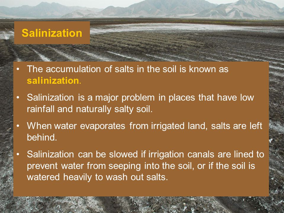 Salinization The accumulation of salts in the soil is known as salinization.