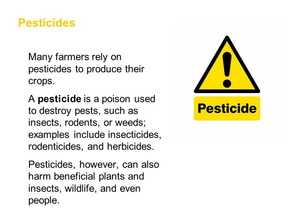 Pesticides Many farmers rely on pesticides to produce their crops.